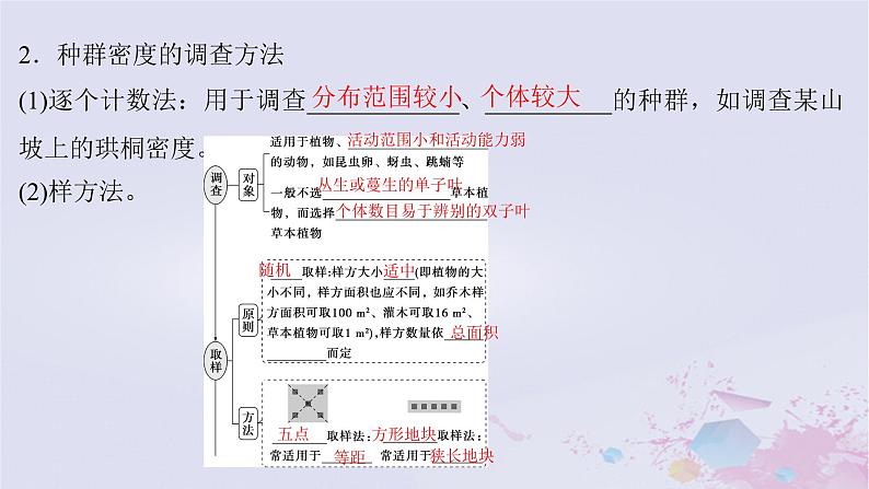 2025届高考生物一轮总复习选择性必修2第九单元生物与环境第41讲种群及其动态课件05