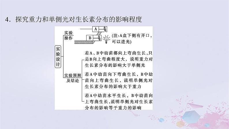 2025届高考生物一轮总复习选择性必修1第八单元稳态与调节微专题14与植物激素有关的实验设计题课件第5页