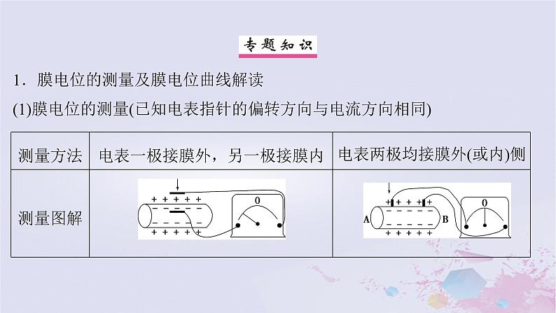 2025届高考生物一轮总复习选择性必修1第八单元稳态与调节微专题12膜电位的测量与电流表指针偏转问题课件第2页