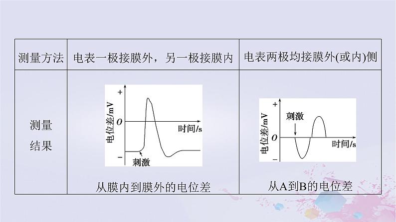 2025届高考生物一轮总复习选择性必修1第八单元稳态与调节微专题12膜电位的测量与电流表指针偏转问题课件第3页