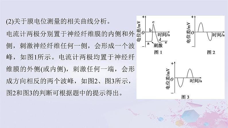 2025届高考生物一轮总复习选择性必修1第八单元稳态与调节微专题12膜电位的测量与电流表指针偏转问题课件第4页