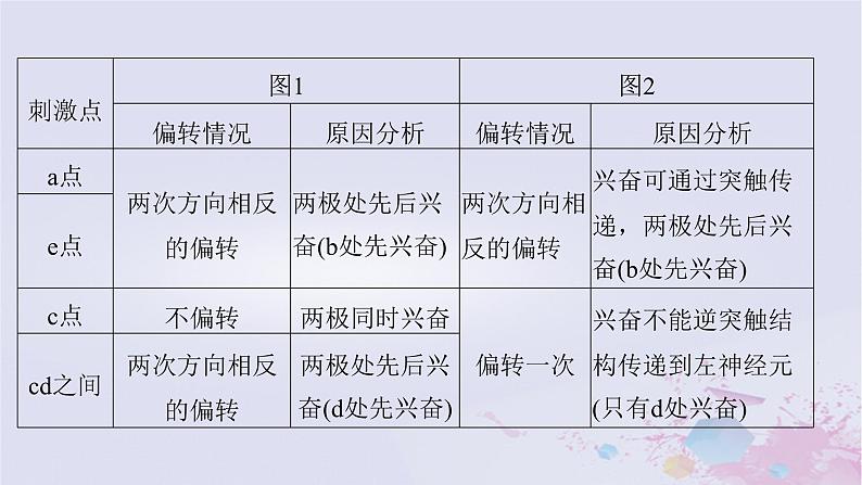 2025届高考生物一轮总复习选择性必修1第八单元稳态与调节微专题12膜电位的测量与电流表指针偏转问题课件第6页