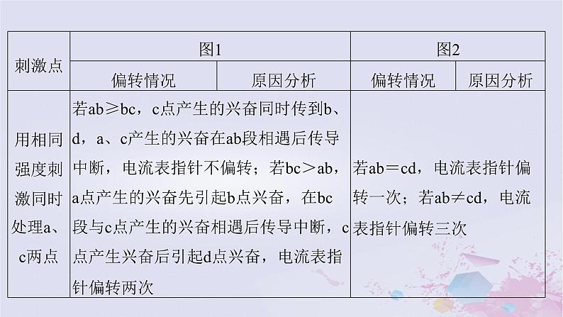 2025届高考生物一轮总复习选择性必修1第八单元稳态与调节微专题12膜电位的测量与电流表指针偏转问题课件第7页