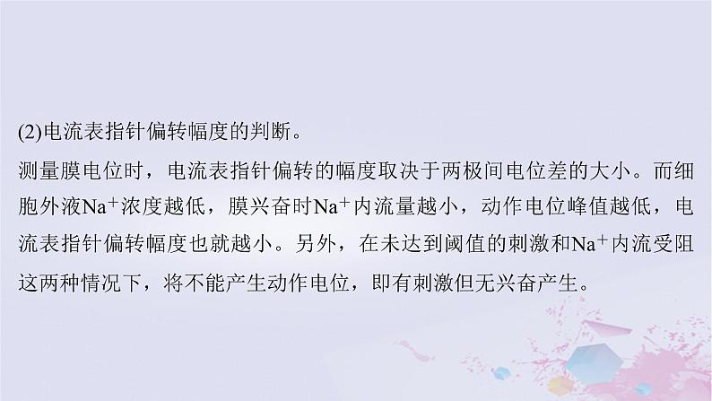 2025届高考生物一轮总复习选择性必修1第八单元稳态与调节微专题12膜电位的测量与电流表指针偏转问题课件第8页