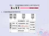 2025届高考生物一轮选择性必修1第八单元第40讲其他植物激素植物生长调节剂及环境因素参与调节课件