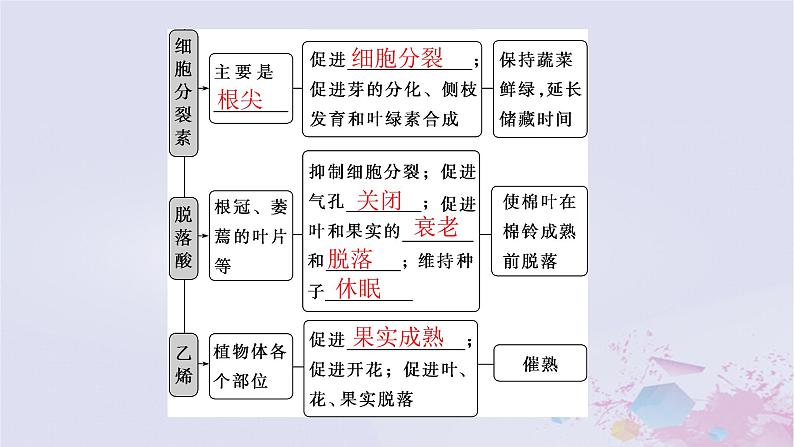 2025届高考生物一轮选择性必修1第八单元第40讲其他植物激素植物生长调节剂及环境因素参与调节课件05