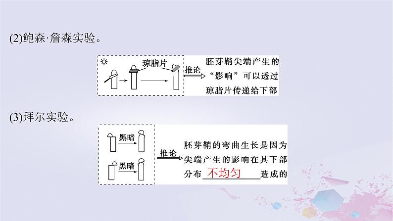 2025届高考生物一轮总复习选择性必修1第八单元稳态与调节第39讲植物生长素课件05