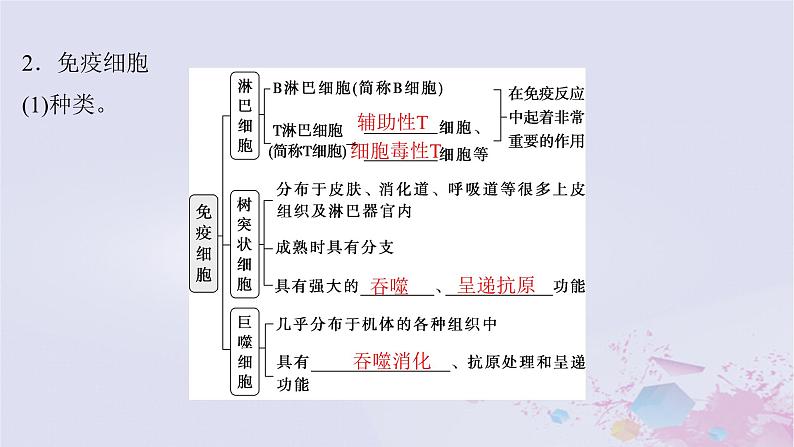 2025届高考生物一轮总复习选择性必修1第八单元稳态与调节第38讲免疫调节课件06