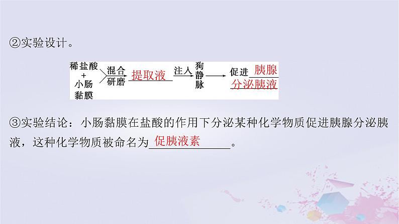 2025届高考生物一轮总复习选择性必修1第八单元稳态与调节第36讲体液调节课件第5页