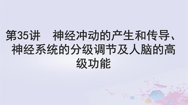 2025届高考生物一轮总复习选择性必修1第八单元第35讲神经冲动的产生和传导神经系统的分级调节及人脑的高级功能课件第1页