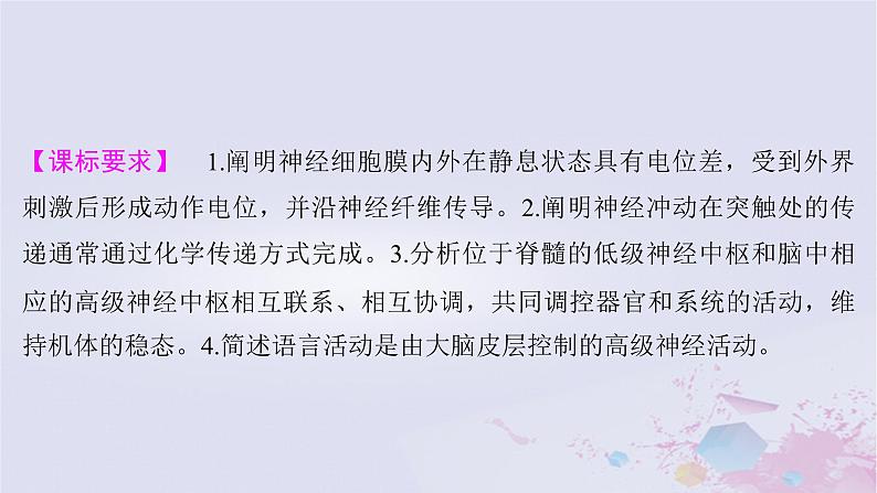 2025届高考生物一轮总复习选择性必修1第八单元第35讲神经冲动的产生和传导神经系统的分级调节及人脑的高级功能课件第2页