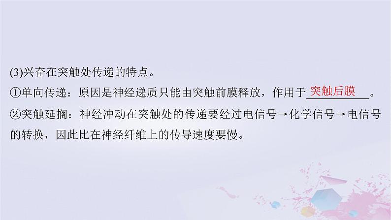 2025届高考生物一轮总复习选择性必修1第八单元第35讲神经冲动的产生和传导神经系统的分级调节及人脑的高级功能课件第7页