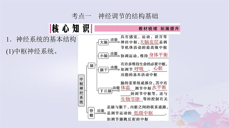 2025届高考生物一轮总复习选择性必修1第八单元稳态与调节第34讲神经调节的结构基础及基本方式课件04