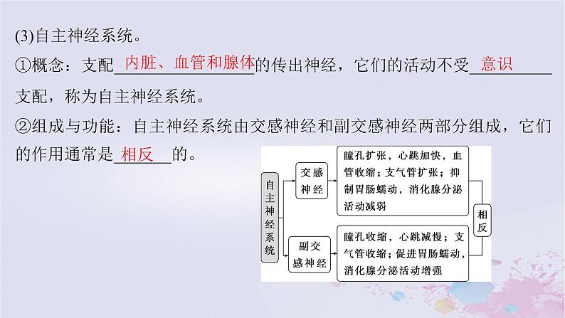 2025届高考生物一轮总复习选择性必修1第八单元稳态与调节第34讲神经调节的结构基础及基本方式课件06