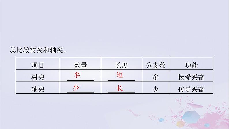 2025届高考生物一轮总复习选择性必修1第八单元稳态与调节第34讲神经调节的结构基础及基本方式课件08