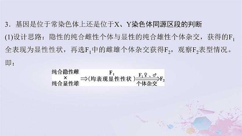 2025届高考生物一轮总复习必修2第五单元微专题10基因位置的判定及相关实验设计突破课件第6页