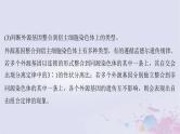 2025届高考生物一轮总复习必修2第五单元微专题9判断控制不同性状的等位基因是否位于一对同源染色体上课件