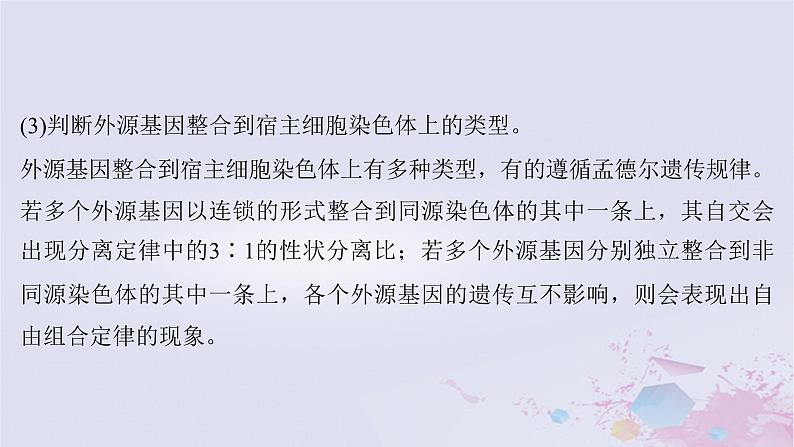 2025届高考生物一轮总复习必修2第五单元微专题9判断控制不同性状的等位基因是否位于一对同源染色体上课件第4页