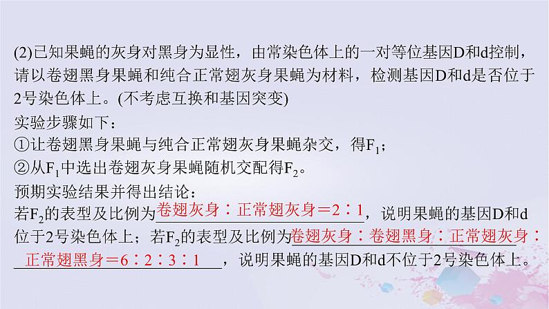 2025届高考生物一轮总复习必修2第五单元微专题9判断控制不同性状的等位基因是否位于一对同源染色体上课件第8页