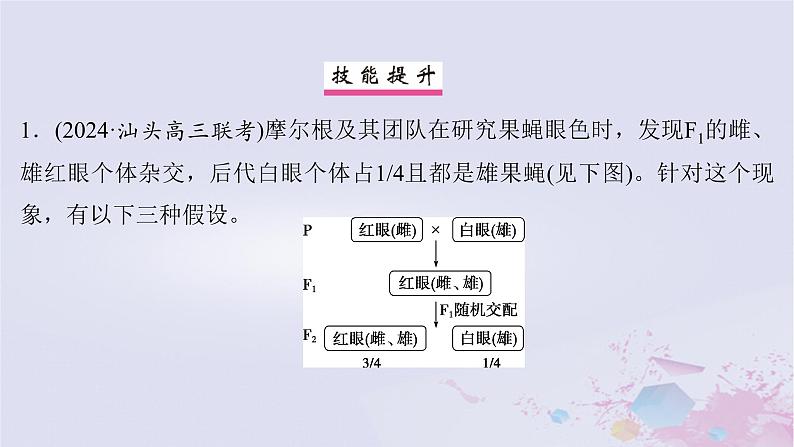 2025届高考生物一轮总复习必修2第五单元遗传的基本规律伴性遗传与人类遗传病实验技能三实验的假设和结论课件05