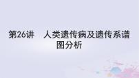 2025届高考生物一轮总复习必修2第五单元遗传的基本规律伴性遗传与人类遗传病第26讲人类遗传病及遗传系谱图分析课件