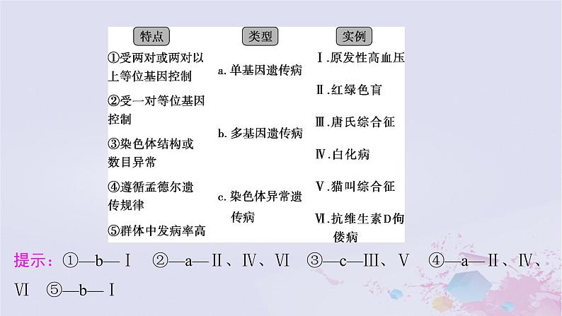 2025届高考生物一轮总复习必修2第五单元遗传的基本规律伴性遗传与人类遗传病第26讲人类遗传病及遗传系谱图分析课件第5页