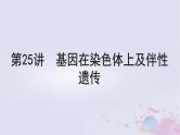 2025届高考生物一轮总复习必修2第五单元遗传的基本规律伴性遗传与人类遗传病第25讲基因在染色体上及伴性遗传课件