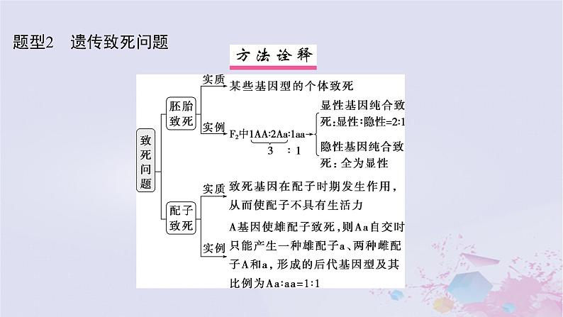 2025届高考生物一轮总复习必修2第五单元遗传的基本规律伴性遗传与人类遗传病第21讲分离定律的拓展题型突破课件08