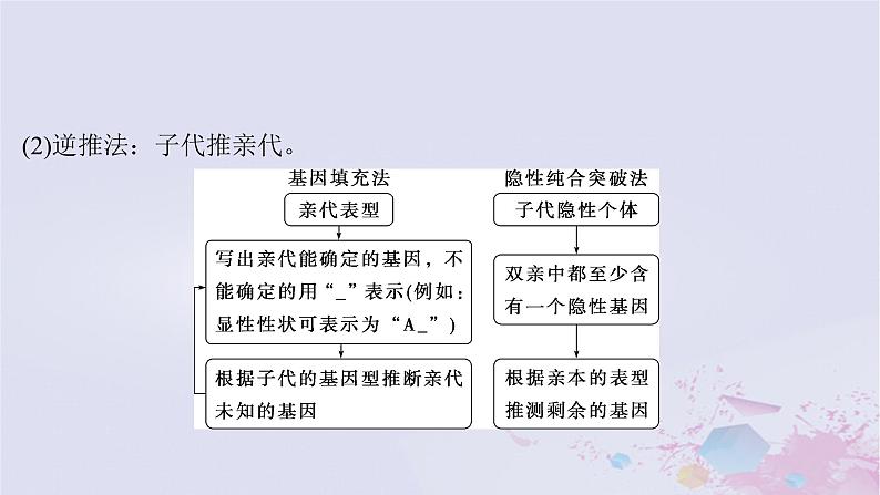 2025届高考生物一轮总复习必修2第五单元遗传的基本规律伴性遗传与人类遗传病第20讲分离定律的基础题型突破课件第3页