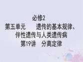 2025届高考生物一轮总复习必修2第五单元遗传的基本规律伴性遗传与人类遗传病第19讲分离定律课件