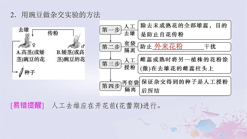 2025届高考生物一轮总复习必修2第五单元遗传的基本规律伴性遗传与人类遗传病第19讲分离定律课件第5页