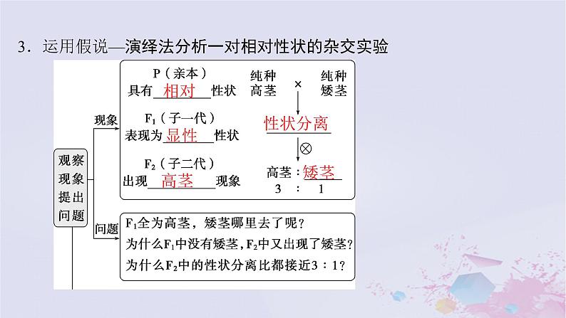 2025届高考生物一轮总复习必修2第五单元遗传的基本规律伴性遗传与人类遗传病第19讲分离定律课件第6页