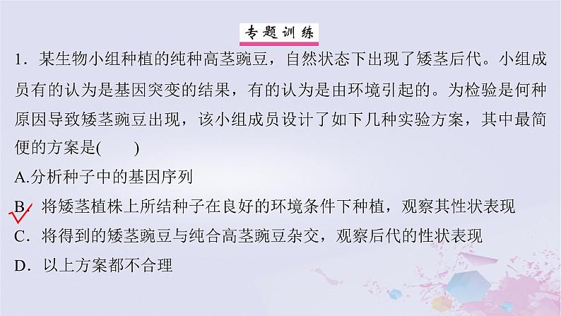 2025届高考生物一轮总复习必修2第七单元生物的变异和进化微专题11生物变异类型的判断与实验探究课件07