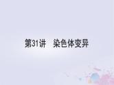 2025届高考生物一轮总复习必修2第七单元生物的变异和进化第31讲染色体变异课件