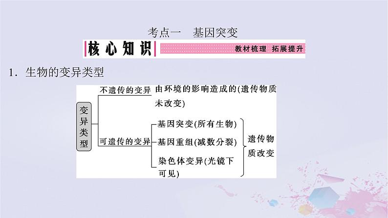 2025届高考生物一轮总复习必修2第七单元生物的变异和进化第30讲基因突变和基因重组课件第4页