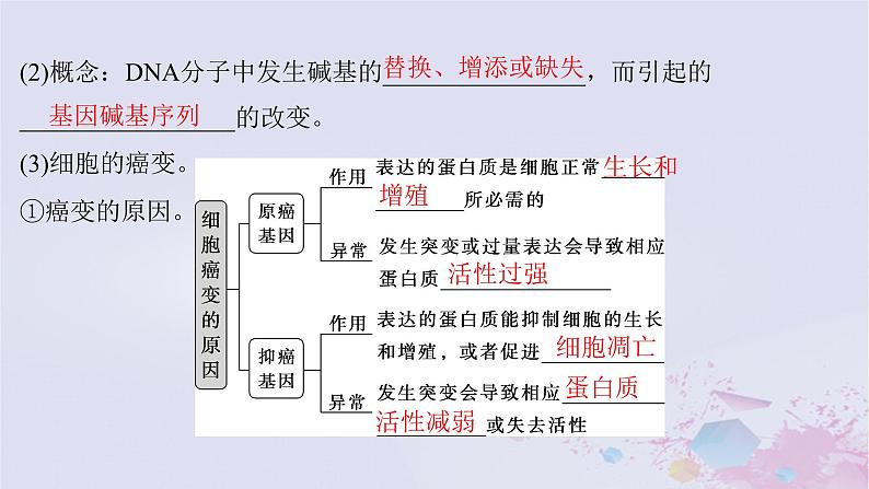 2025届高考生物一轮总复习必修2第七单元生物的变异和进化第30讲基因突变和基因重组课件第7页