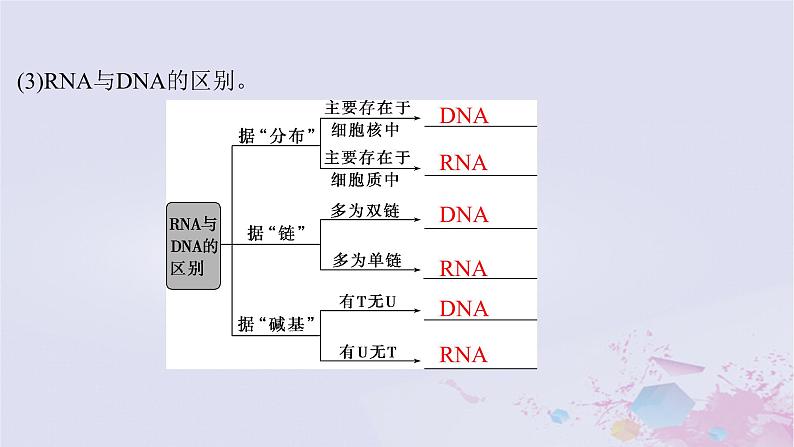 2025届高考生物一轮总复习必修2第六单元遗传的物质基础第29讲基因的表达课件05