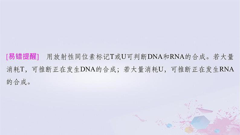 2025届高考生物一轮总复习必修2第六单元遗传的物质基础第29讲基因的表达课件06