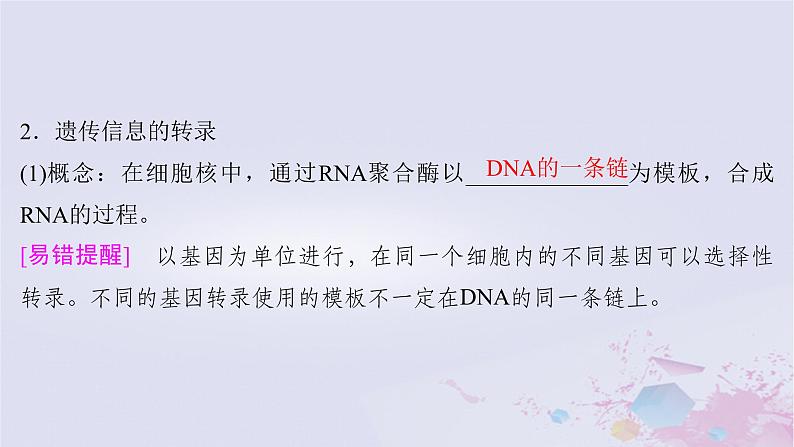 2025届高考生物一轮总复习必修2第六单元遗传的物质基础第29讲基因的表达课件07