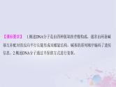 2025届高考生物一轮总复习必修2第六单元遗传的物质基础第28讲DNA的结构复制及基因的本质课件