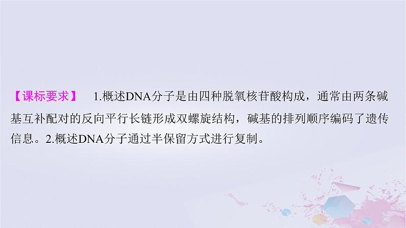 2025届高考生物一轮总复习必修2第六单元遗传的物质基础第28讲DNA的结构复制及基因的本质课件第2页