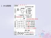 2025届高考生物一轮总复习必修2第六单元遗传的物质基础第28讲DNA的结构复制及基因的本质课件