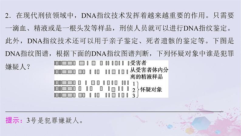 2025届高考生物一轮总复习必修2第六单元遗传的物质基础第28讲DNA的结构复制及基因的本质课件第8页