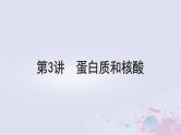 2025届高考生物一轮总复习必修1第一单元细胞及其分子组成第3讲蛋白质和核酸课件