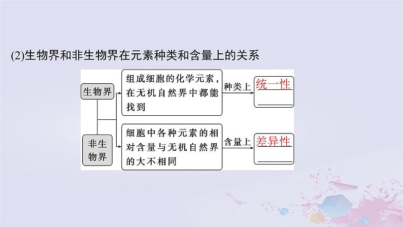 2025届高考生物一轮总复习必修1第一单元细胞及其分子组成第2讲细胞中的无机物糖类和脂质课件06