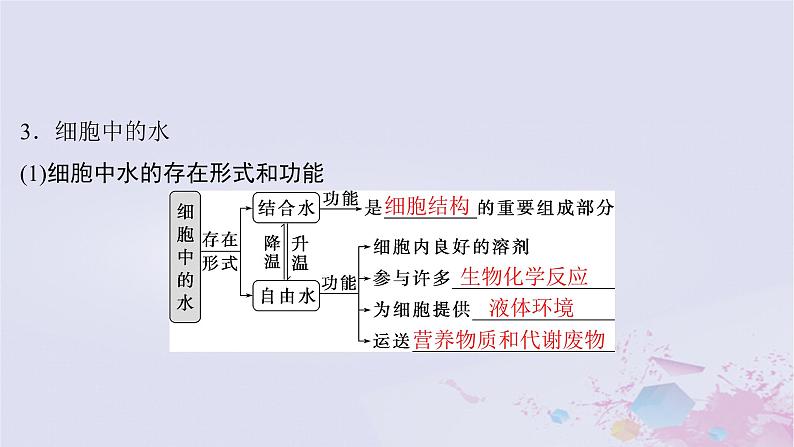 2025届高考生物一轮总复习必修1第一单元细胞及其分子组成第2讲细胞中的无机物糖类和脂质课件08