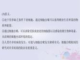 2025届高考生物一轮总复习必修1第四单元细胞的生命历程微专题8细胞自噬与细胞凋亡课件