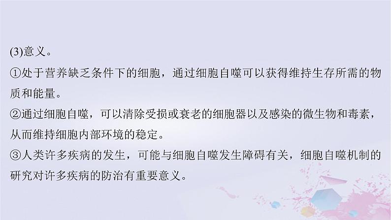 2025届高考生物一轮总复习必修1第四单元细胞的生命历程微专题8细胞自噬与细胞凋亡课件04