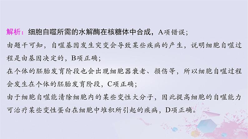 2025届高考生物一轮总复习必修1第四单元细胞的生命历程微专题8细胞自噬与细胞凋亡课件08