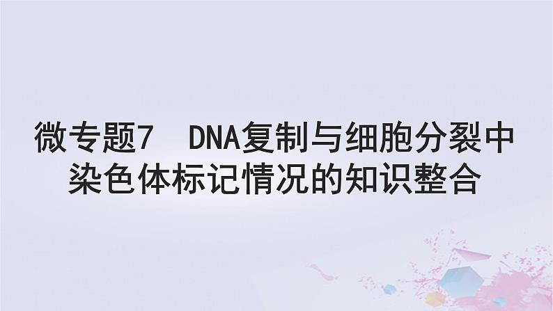 2025届高考生物一轮总复习必修1第四单元细胞的生命历程微专题7DNA复制与细胞分裂中染色体标记情况的知识整合课件第1页